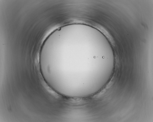 X0000112391198200909032007