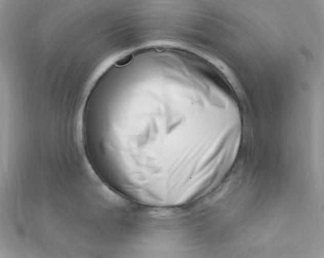 X0000112391199200909032007