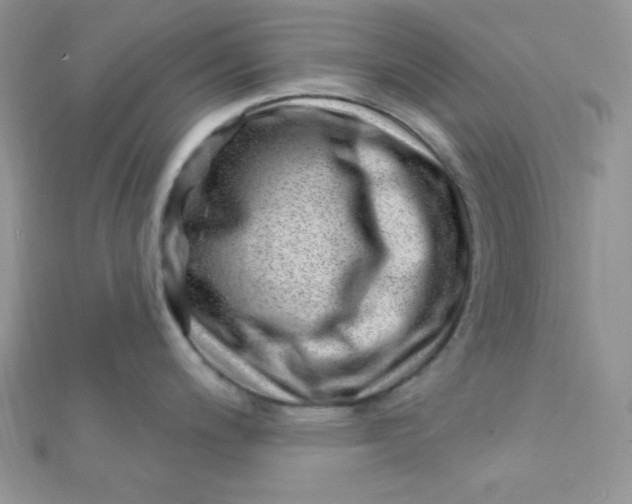 X0000112391200200909032007