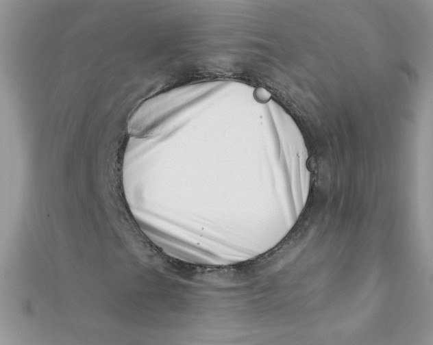 X0000112391201200909032007