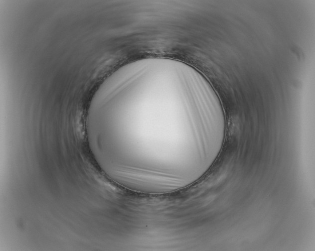 X0000112391202200909032007