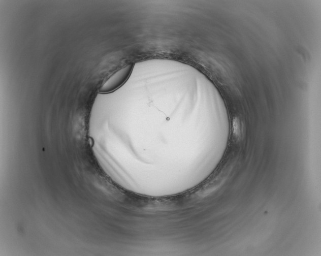 X0000112391203200909032007