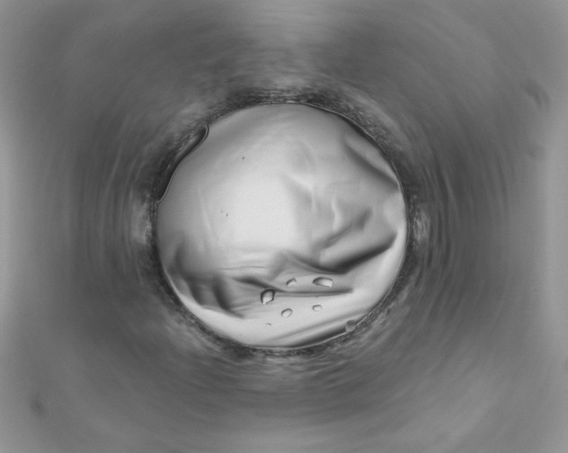 X0000112391204200909032007