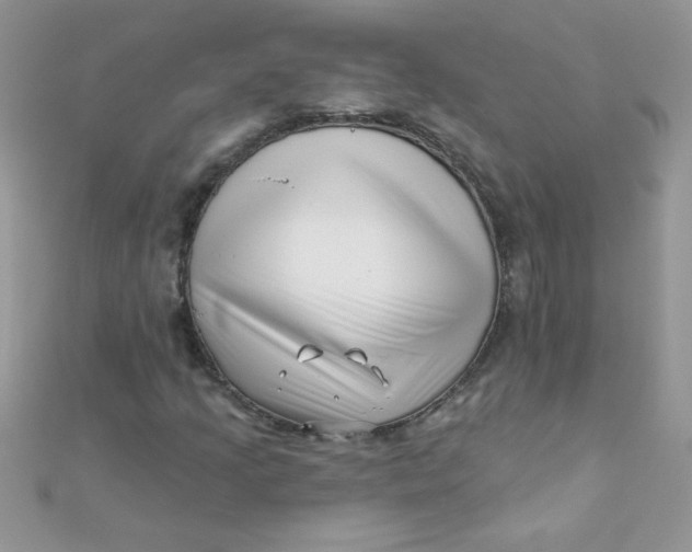 X0000112391205200909032007