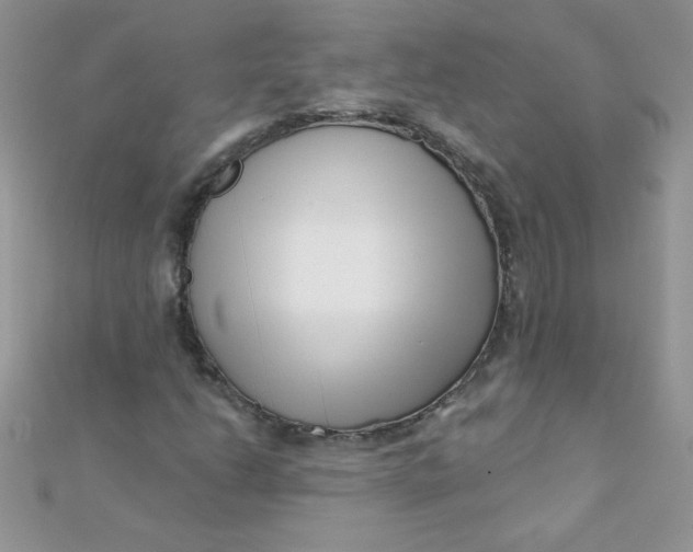 X0000112391206200909032007