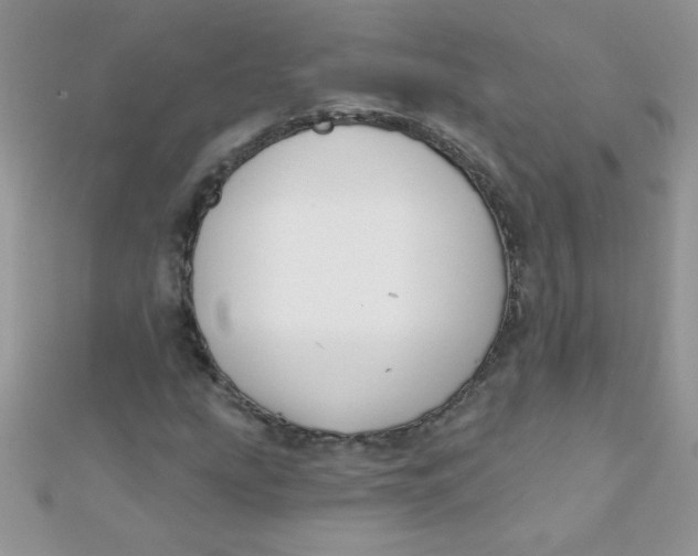 X0000112391207200909032007