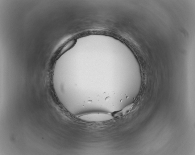 X0000112391208200909032007