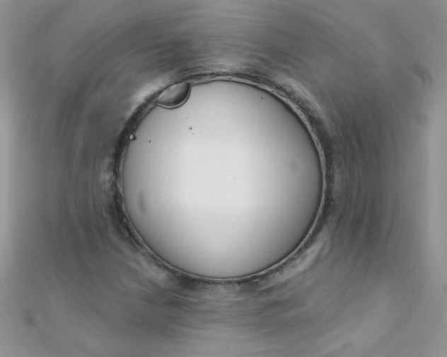 X0000112391210200909032007