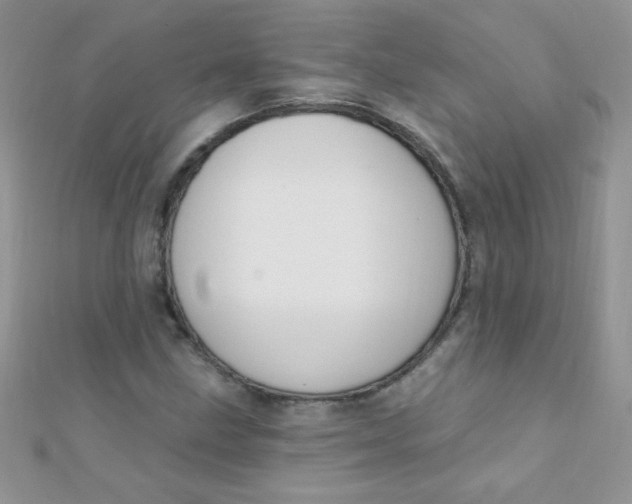 X0000112391211200909032007