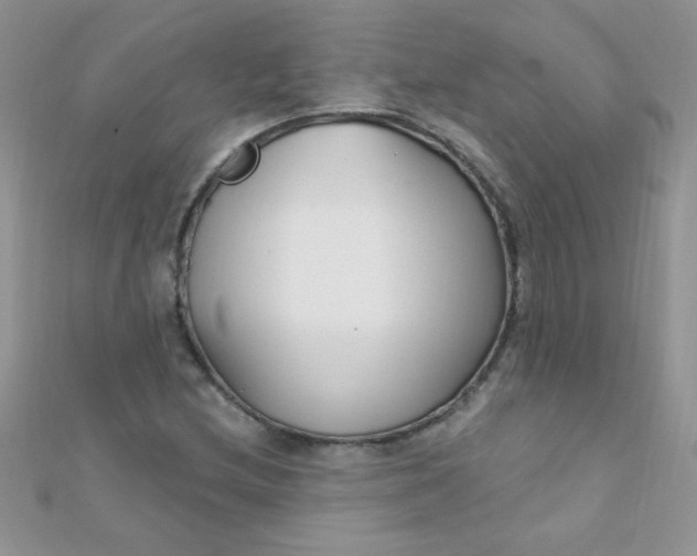 X0000112391212200909032007