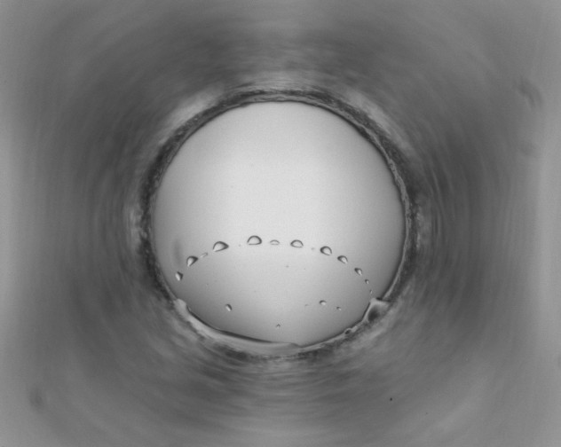 X0000112391213200909032007