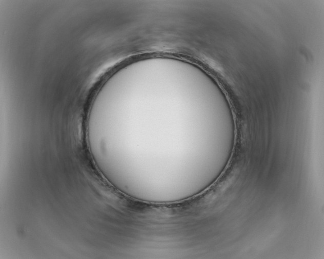 X0000112391214200909032007