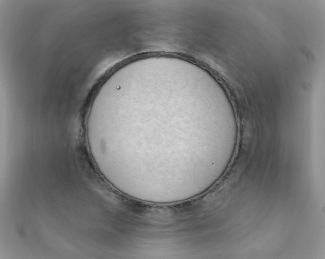 X0000112391215200909032007