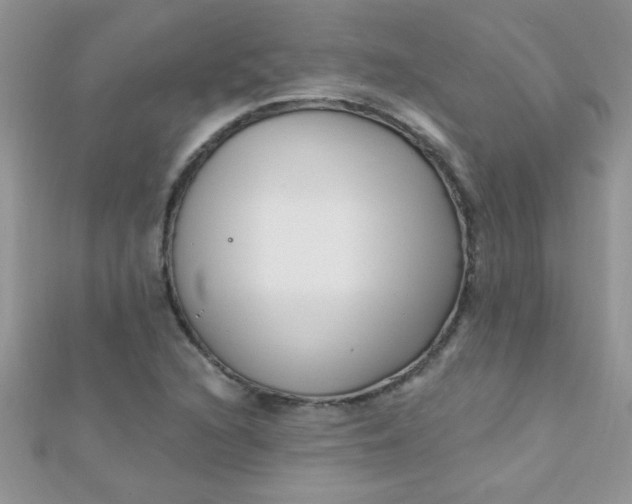 X0000112391216200909032007