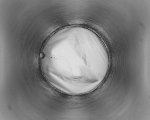 X0000112391217200909032007