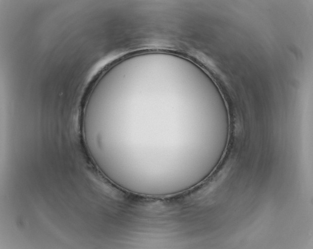 X0000112391222200909032007