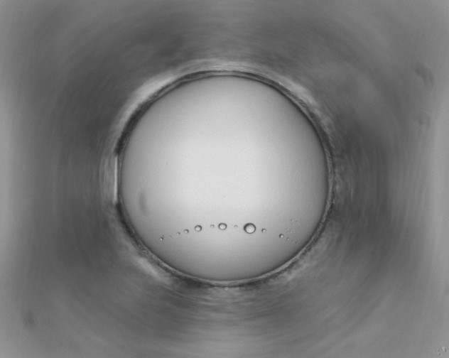 X0000112391223200909032007