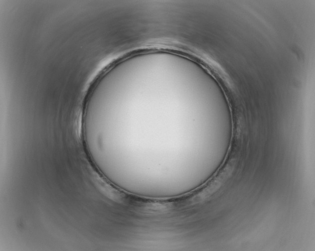 X0000112391224200909032007