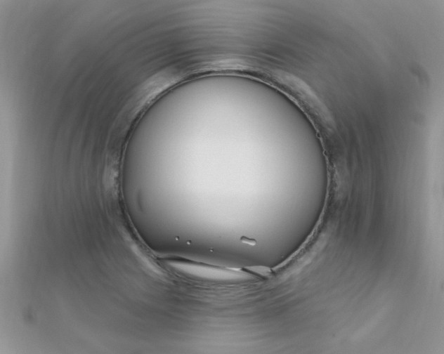 X0000112391225200909032007