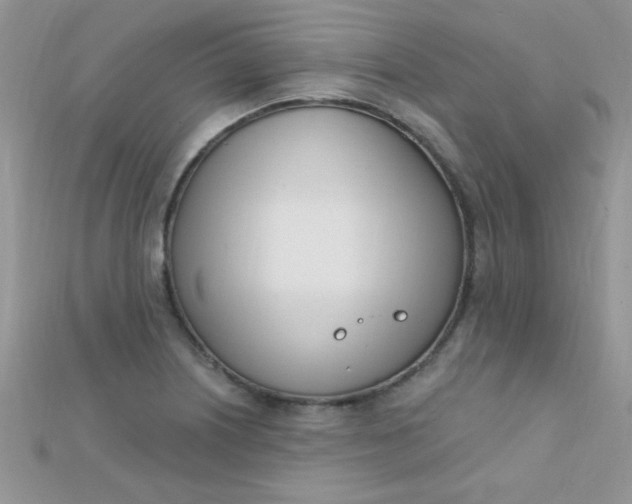 X0000112391226200909032007