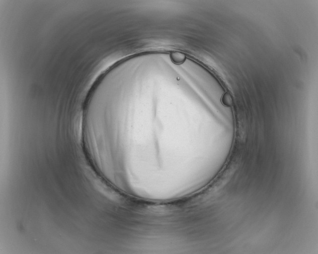 X0000112391227200909032007