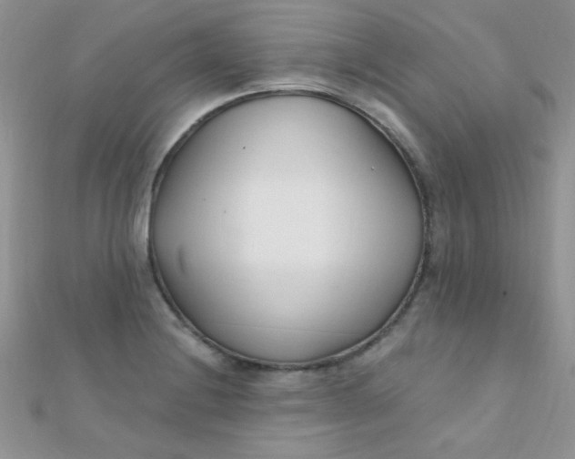 X0000112391228200909032007