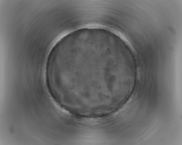 X0000112391229200909032007