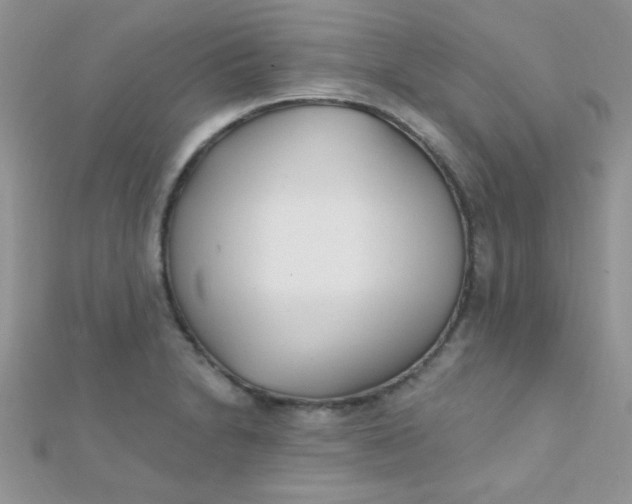 X0000112391230200909032007