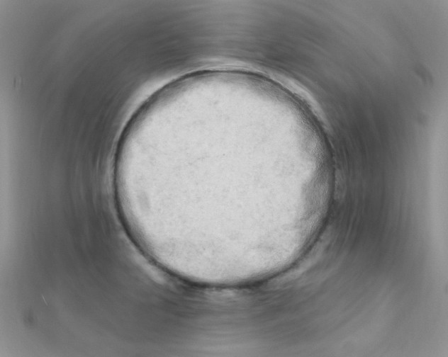 X0000112391231200909032007