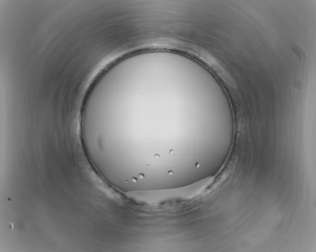 X0000112391232200909032007