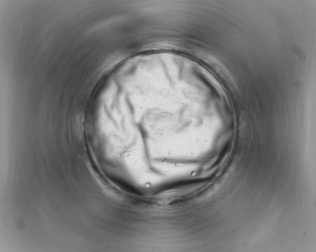 X0000112391233200909032007