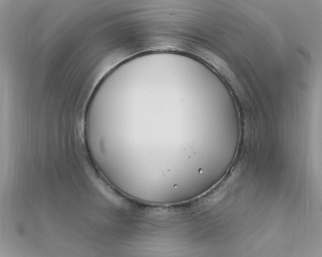 X0000112391234200909032007