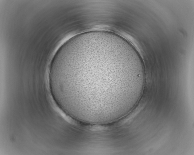 X0000112391235200909032007