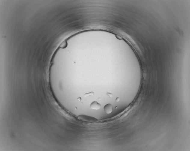 X0000112391236200909032007