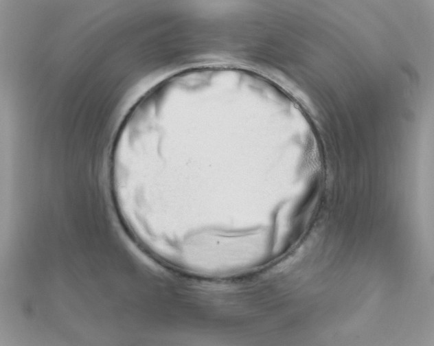 X0000112391239200909032007