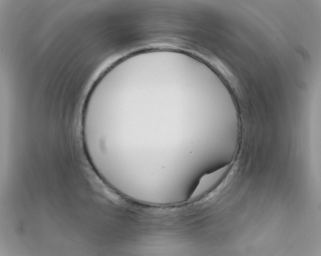 X0000112391240200909032007