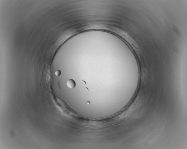 X0000112391241200909032007