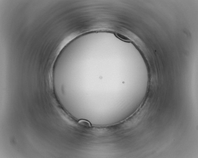 X0000112391242200909032007