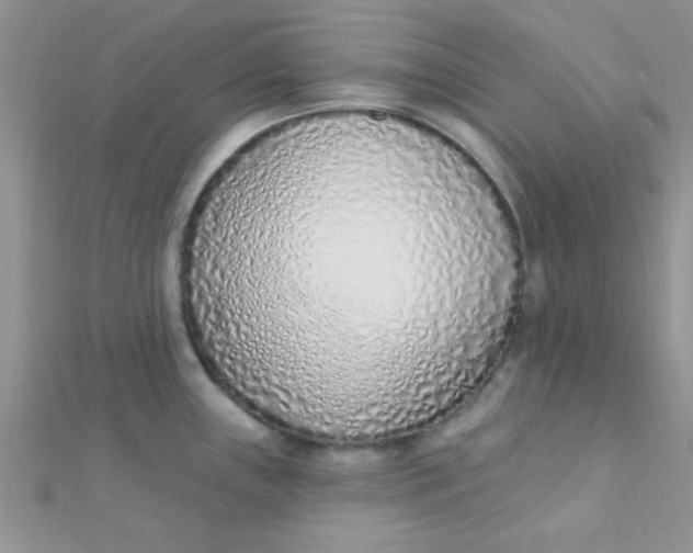 X0000112391243200909032007