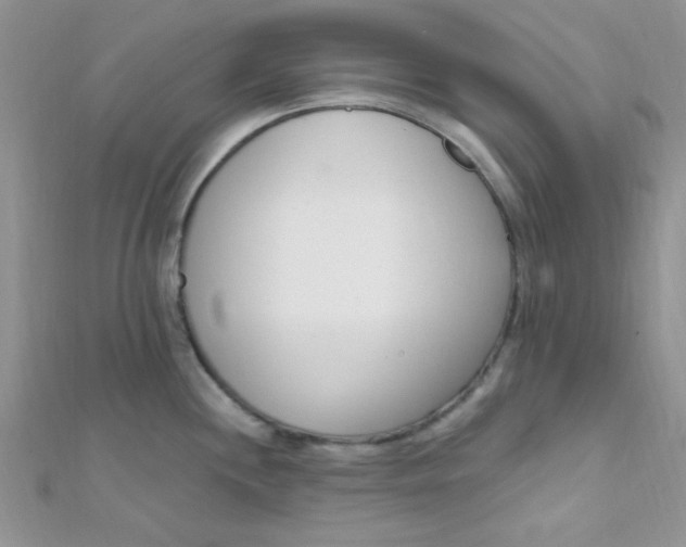 X0000112391244200909032007