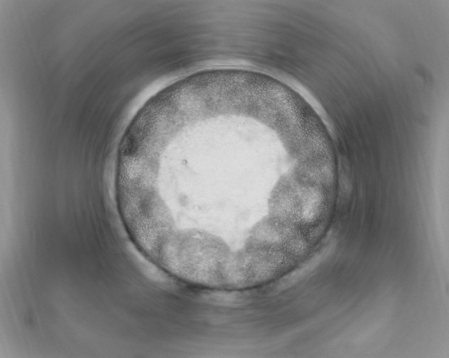 X0000112391245200909032007