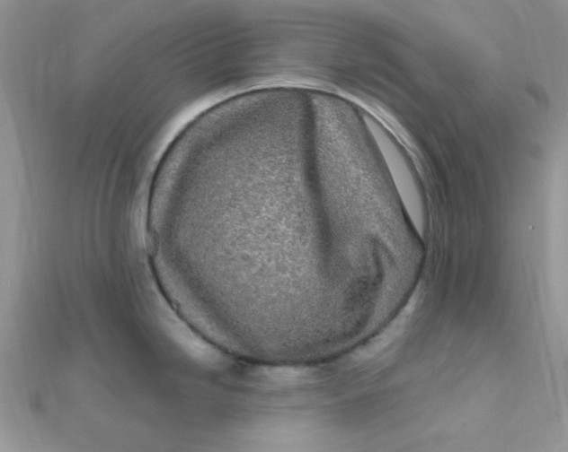 X0000112391246200909032007