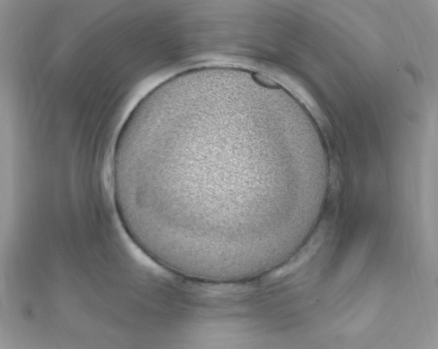 X0000112391247200909032007