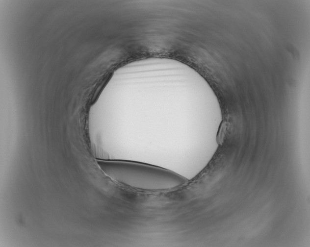 X0000112391249200909032007