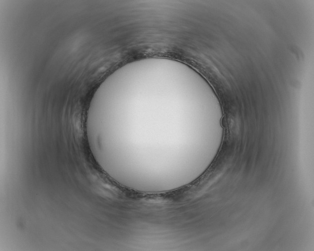 X0000112391250200909032007