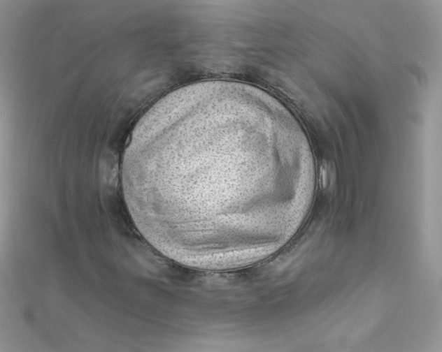 X0000112391251200909032006