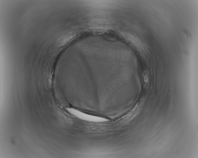 X0000112391252200909032006