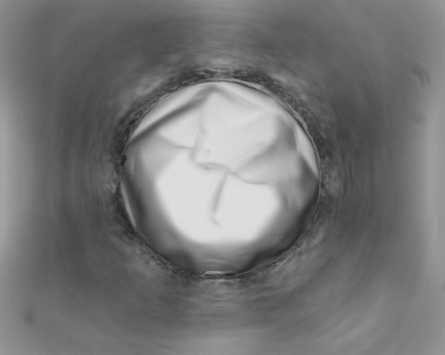 X0000112391253200909032006