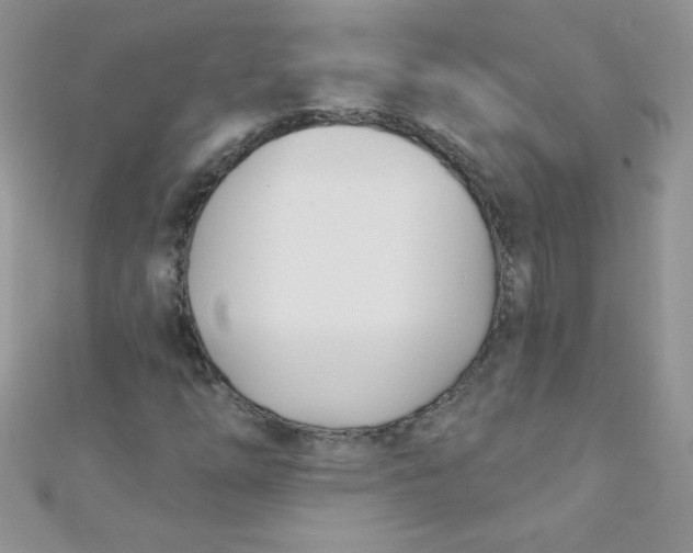 X0000112391254200909032006