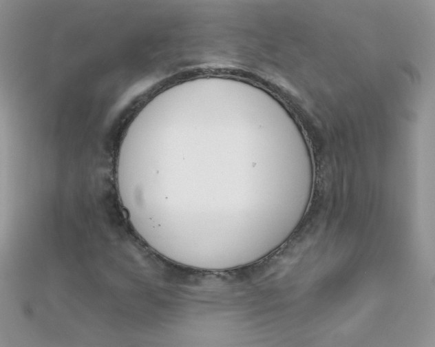 X0000112391255200909032006